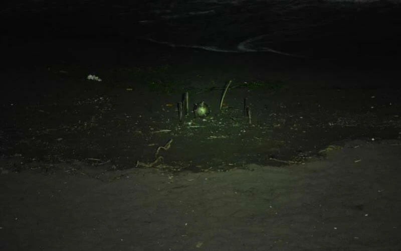 Karadeniz sahilinde mayın alarmı! Bölge ablukaya alındı, bomba uzmanı imha etti