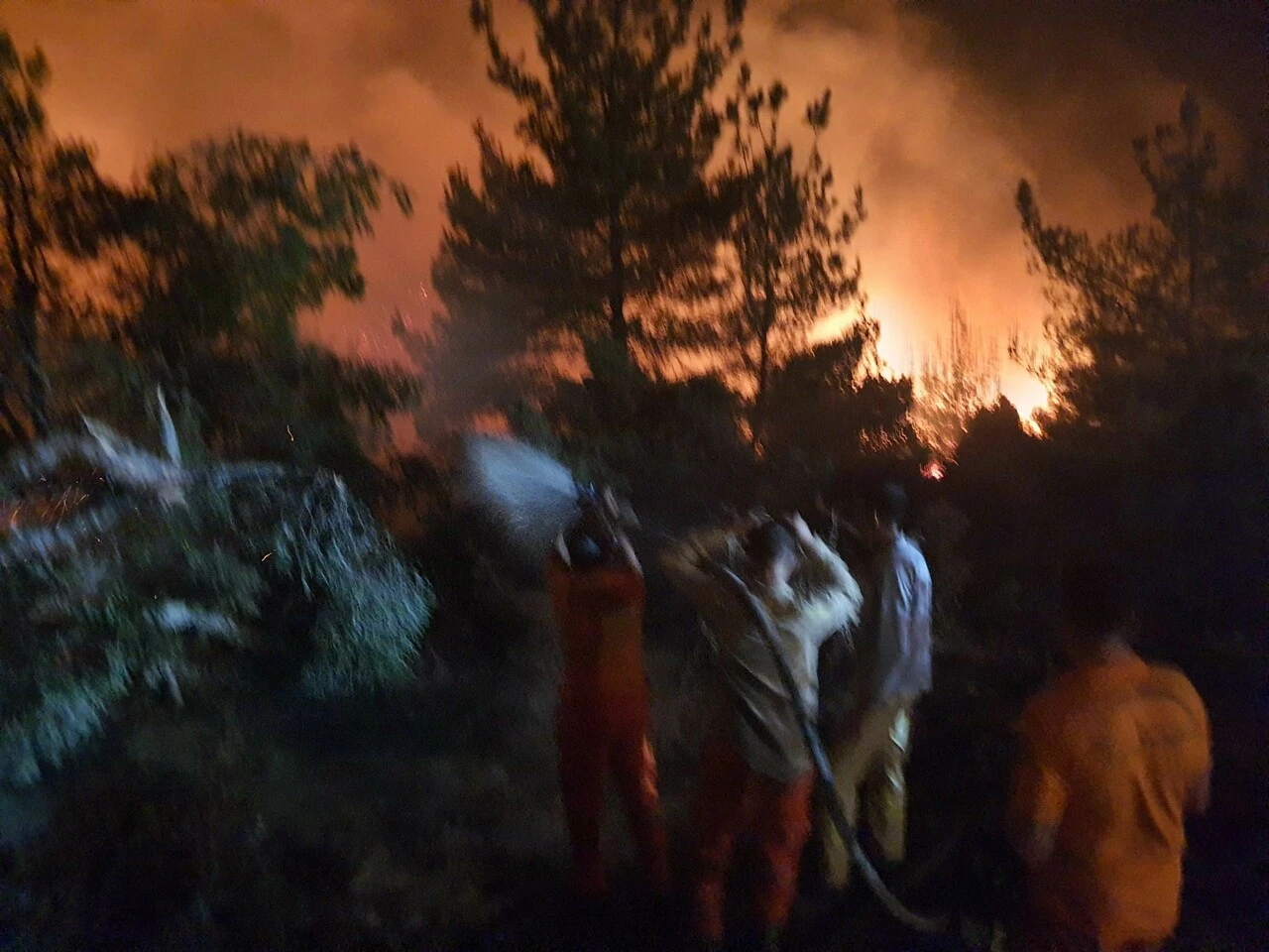 Manisa'da orman yangını: Alevlerin etrafı sarıldı, tehlike geçti
