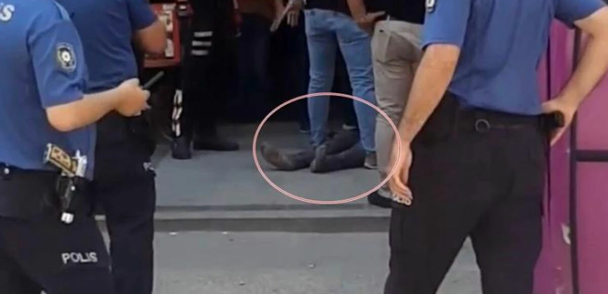 Polisten kaçmaya çalışırken canından oldu