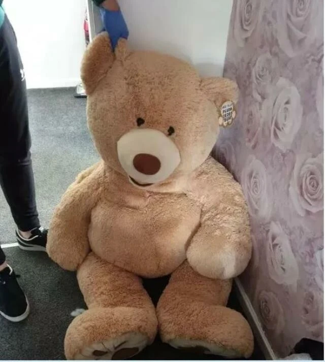 Polisler baskın düzenledi! Evdeki nefes alıp veren oyuncak ayı gözden kaçmadı