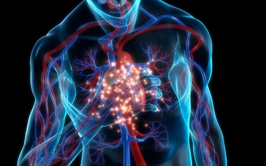 Vücudunuzun sinyallerini dikkate alın! Bu belirtiler kanser habercisi olabilir