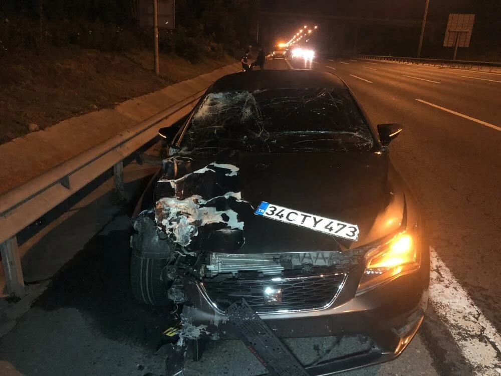 TEM'de feci kaza! Otomobilin çarptığı motosikletteki 2 kişi öldü: Sürücü kaçtı