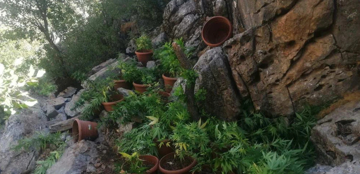 Son dakika: PKK'nın finans kaynağına ağır darbe!