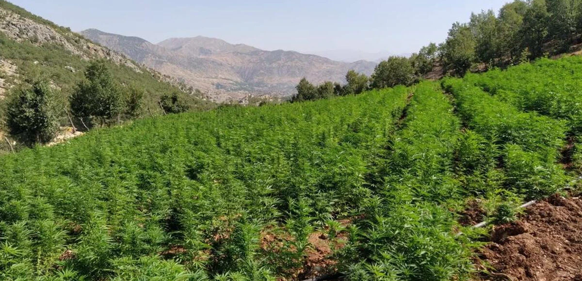 Son dakika: PKK'nın finans kaynağına ağır darbe!