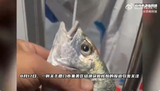 Çin sıfır vaka politikasını abarttı! Artık balıklara da Covid-19 testi yapılıyor