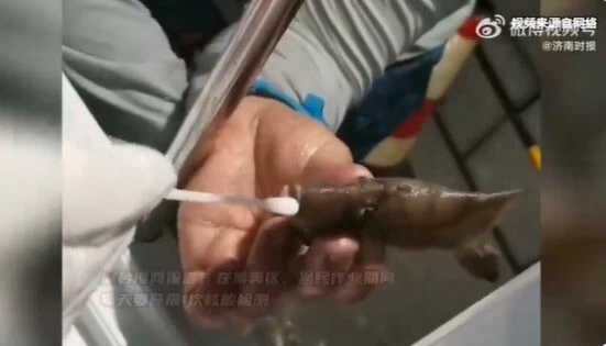 Çin sıfır vaka politikasını abarttı! Artık balıklara da Covid-19 testi yapılıyor