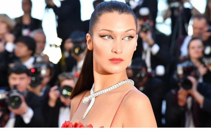 Filistin destekçisi <a href=