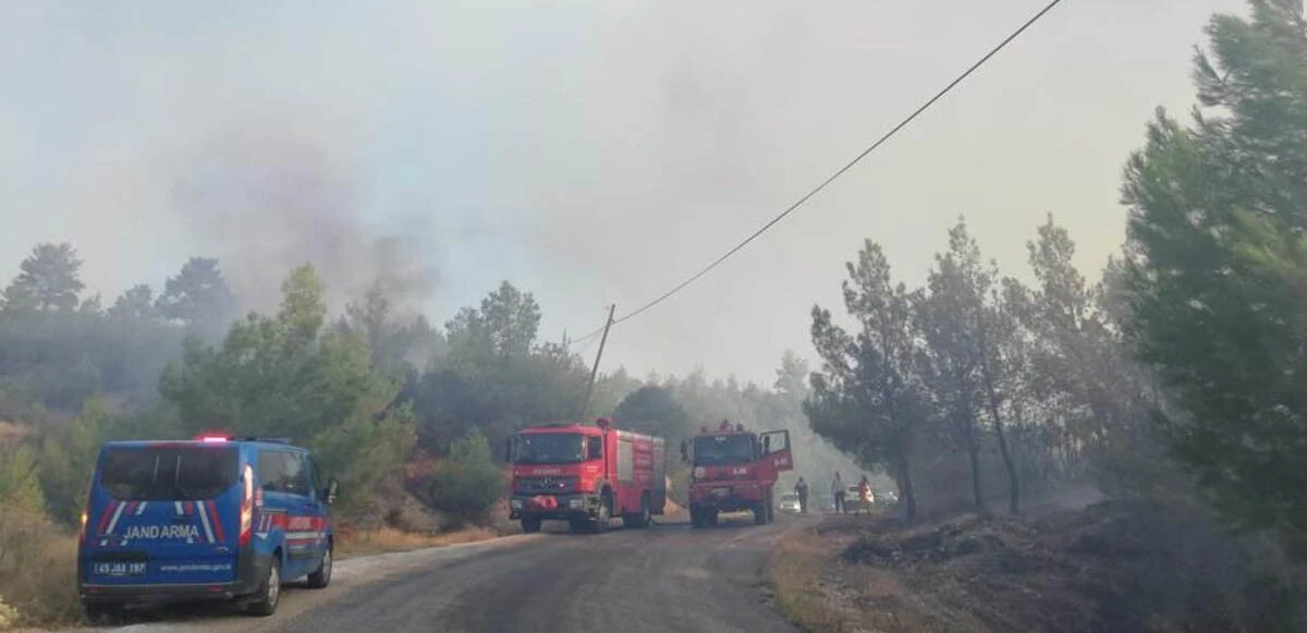 Son dakika! Manisa'da orman yangını: Ekipler seferber oldu, alevlere müdahale sürüyor