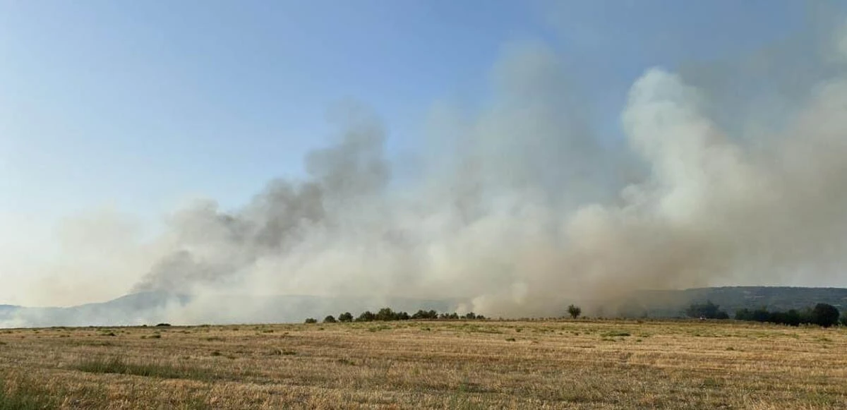 Son dakika! Manisa'da orman yangını: Ekipler seferber oldu, alevlere müdahale sürüyor