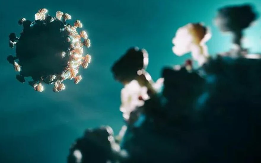 Çocukları hedef alan yeni salgın: Domates gribi alarmı (Domates gribi nedir? Domates gribinin belirtileri nelerdir? Domates gribi tedavi edilir mi?)