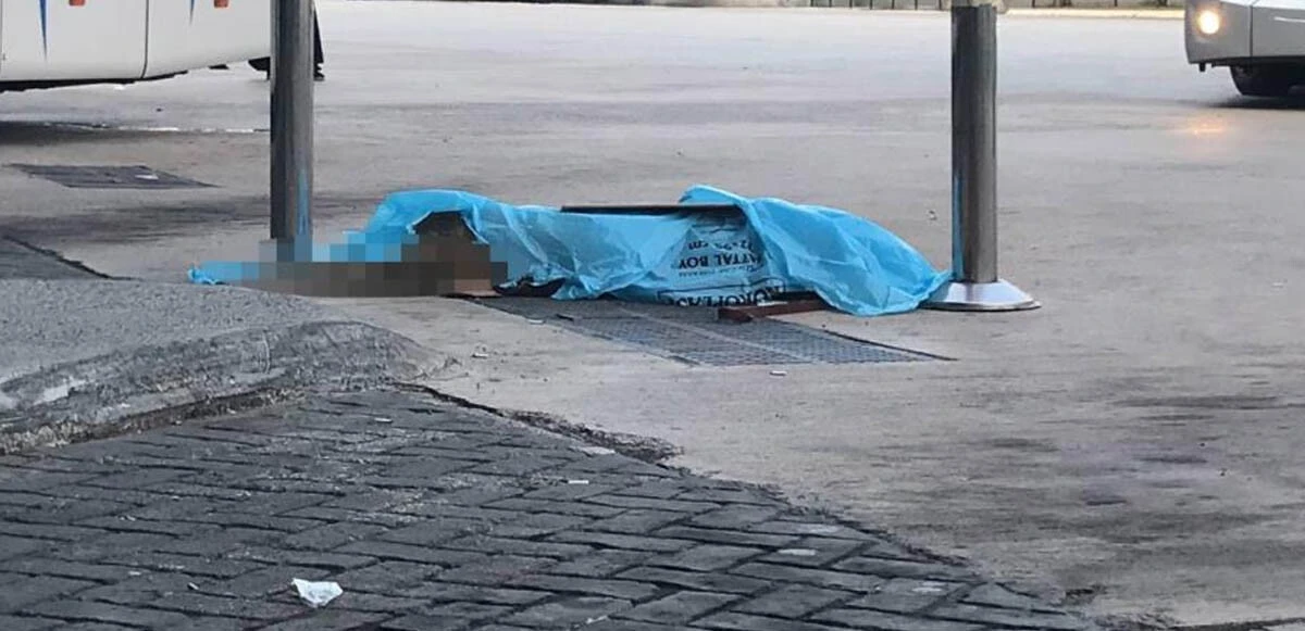 Böyle vicdansızlık görülmedi! Otobüs bagajına koyulan köpek can çekişerek öldü