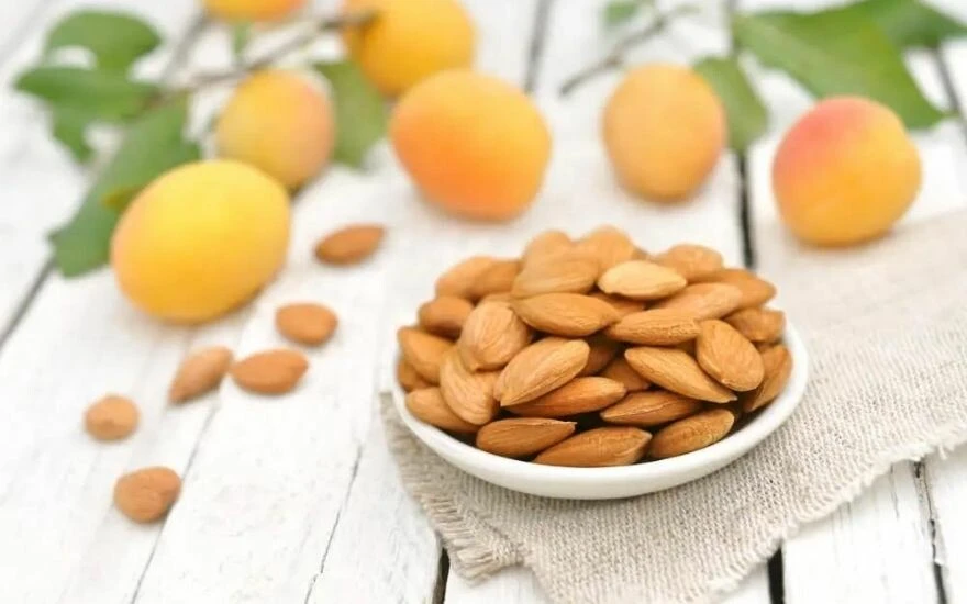 Bugüne kadar çöpe attıklarınıza pişman olacaksınız: Doğal ilaç görevindeki bu çekirdekler şifa dağıtıyor, ağrıları yok ediyor