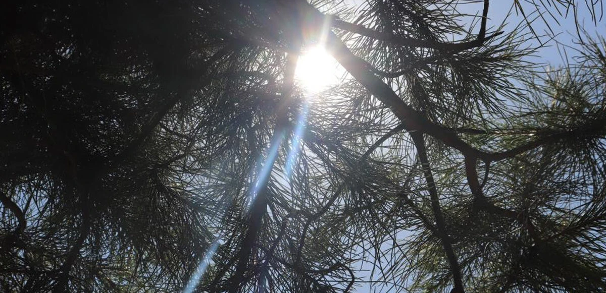 Vatandaş faturayla 45 derece arasına sıkıştı, klima açamıyor