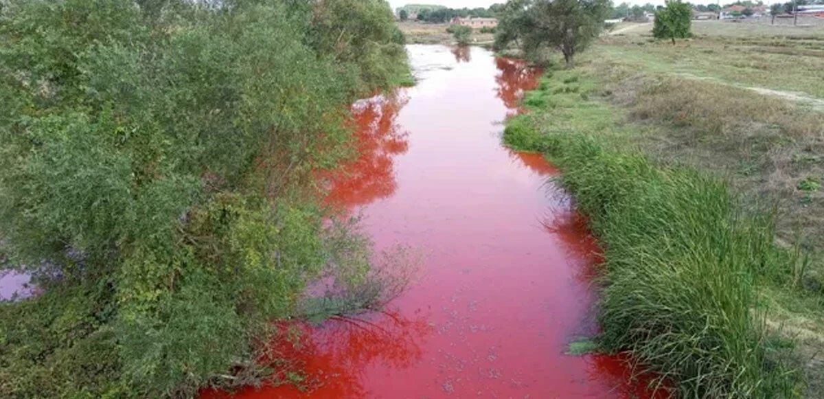 Rengi kırmızıya dönen derenin sırrı ortaya çıktı! Yetkililer 550 bin lira ceza kesti