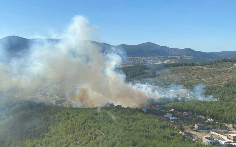 İzmir'deki orman yangını kontrol altında! Yangının sebebi ortaya çıktı