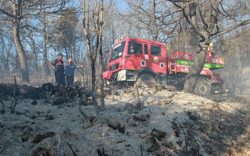 İzmir'deki orman yangını kontrol altında! Yangının sebebi ortaya çıktı