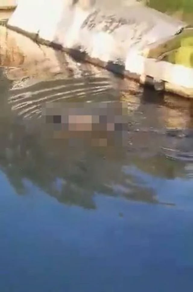 Uyarıları dinlemedi! Timsaha canlı canlı yem oldu