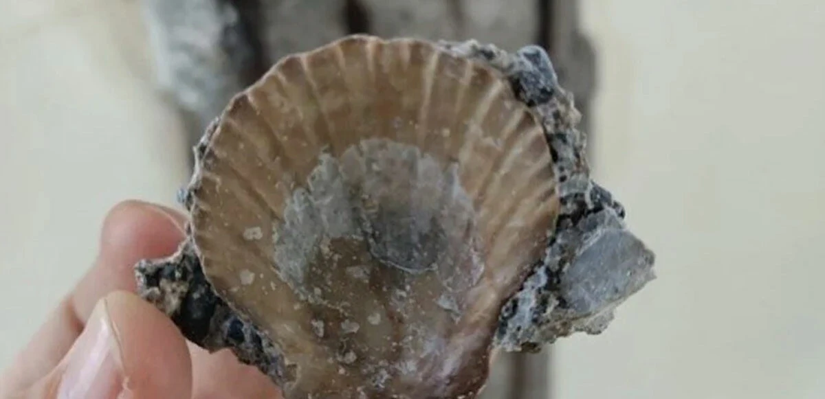 Yıkıldığı iddia edilen Kız Kulesi'nden yeni detay: Altı aşınmış, olası bir depremde yıkılırdı