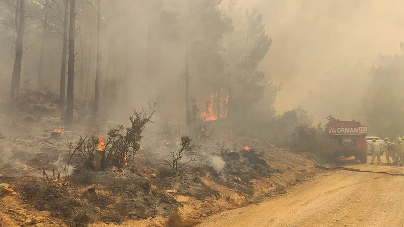 Mersin'de çiğlerimiz yanıyor! Alevler gökyüzünü aydınlattı, Mersin-Antalya yolu ulaşıma kapatıldı