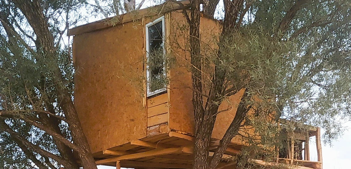 Çobanlar için ağaçta otel yaptı, bakan bir kez daha dönüp baktı