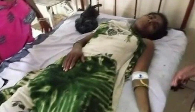 Kaplan bebeği kapınca anne düşünmeden kaplana saldırdı! Köylüler çığlıklara koştu