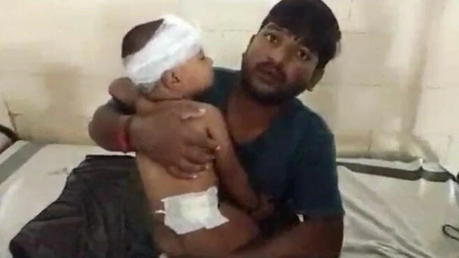 Kaplan bebeği kapınca anne düşünmeden kaplana saldırdı! Köylüler çığlıklara koştu