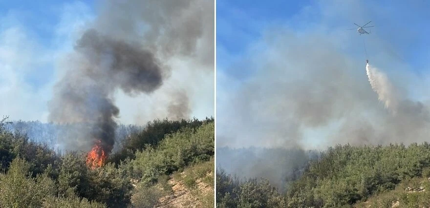 Son dakika! Peş peşe korkutan yangınlar! Denizli ve Muğla'daki alevler kontrol altında
