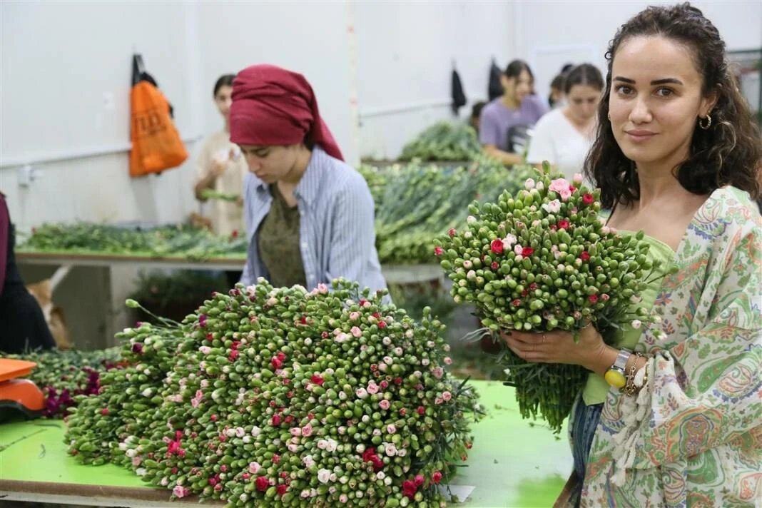 Kraliçe'ye Türk karanfilleriyle veda: Cenazeye Isparta ve Antalya’dan 1,5 milyon karanfil gidecek