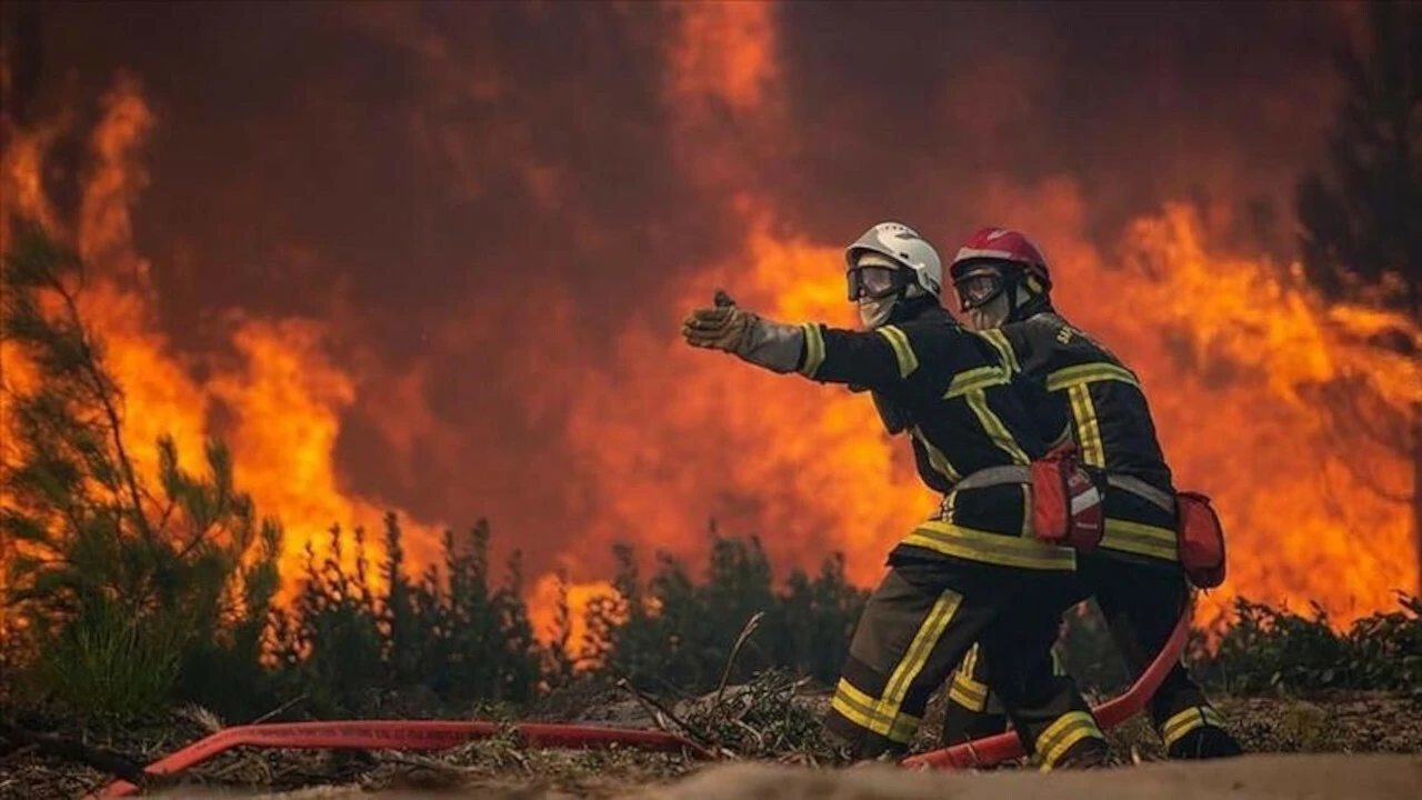 orman yangını California'da <a href=