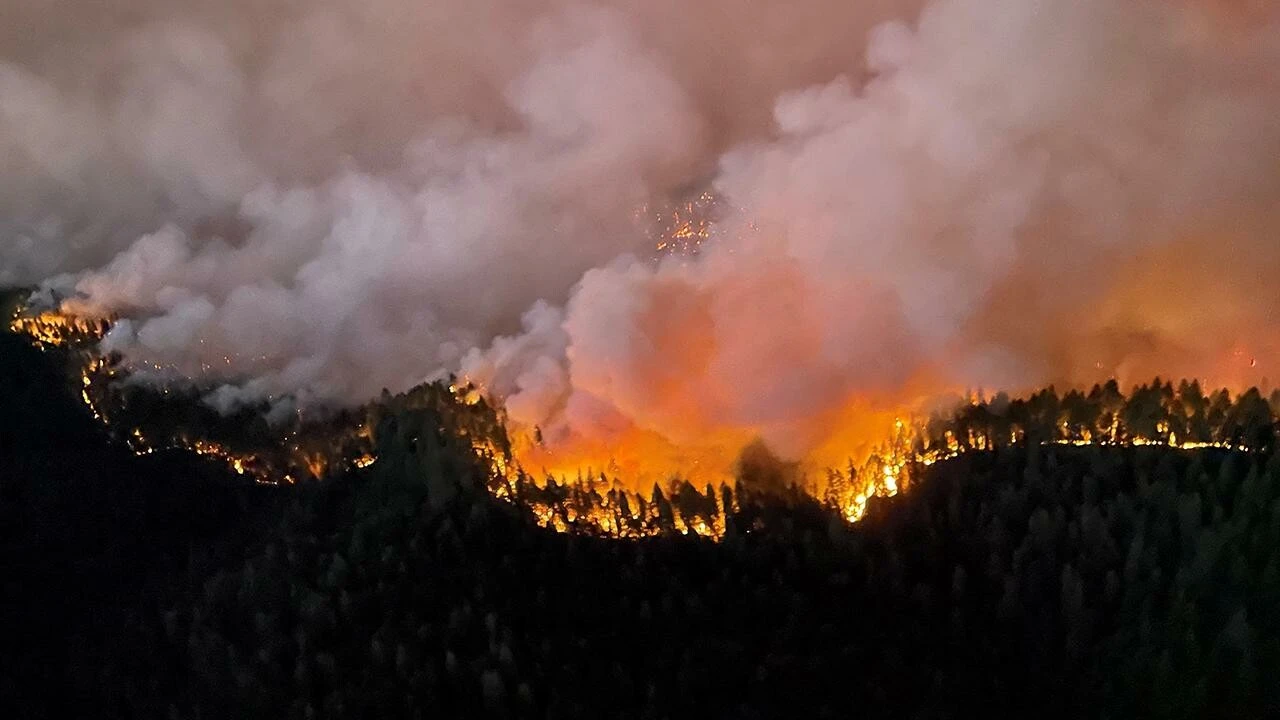 California'da orman yangını günlerdir sürüyor: Böyle bir felaket görmedim