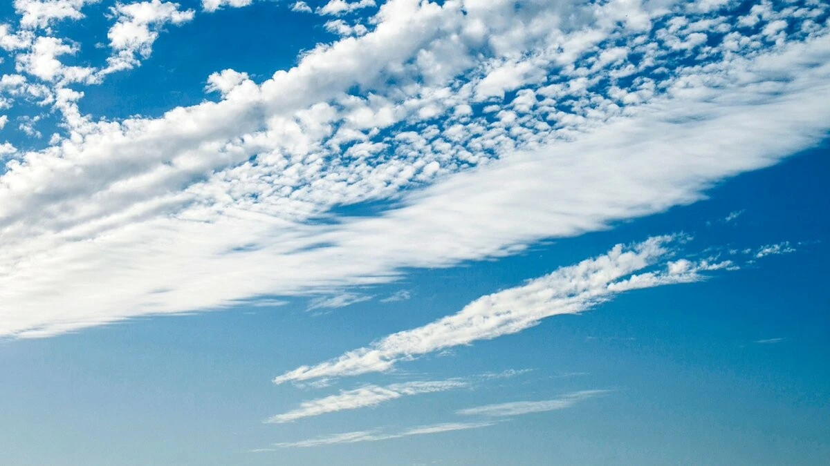 Dua, pamuk, hava, buz: Bu diyetler dünya listelerine girdi, mankenleri inceltti