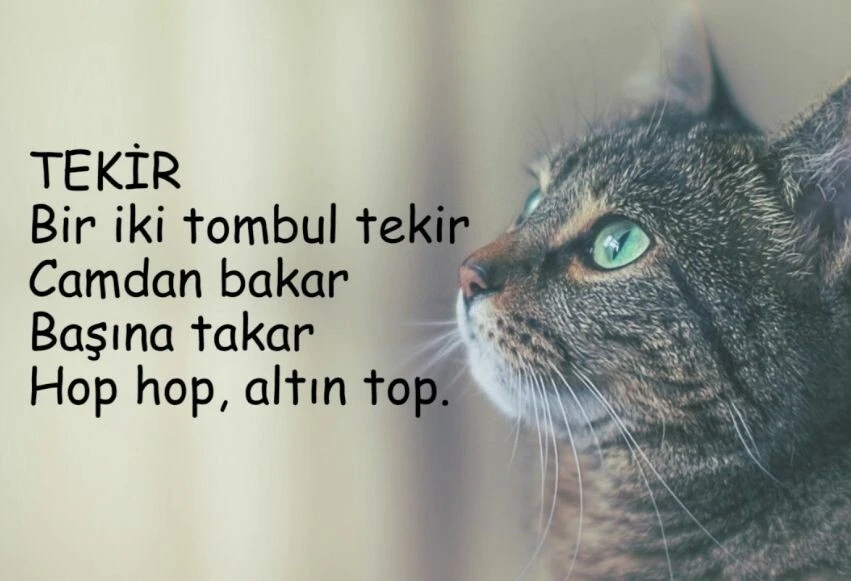 Kolay tekerlemeler; Söylemesi kolay, kısa, uzun, komik, eğlenceli, öğretici tekerlemeler