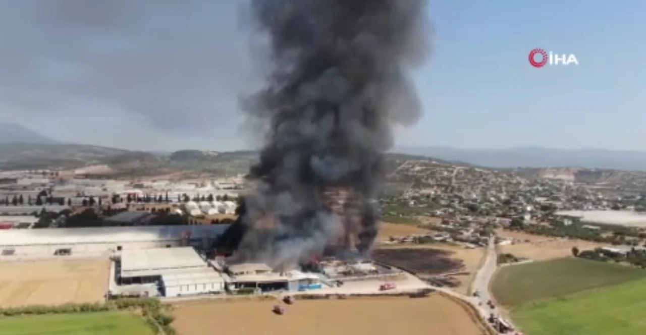 Son dakika! İzmir'de kozmetik fabrikası alevlere teslim oldu: Ekiplerin müdahalesi sürüyor