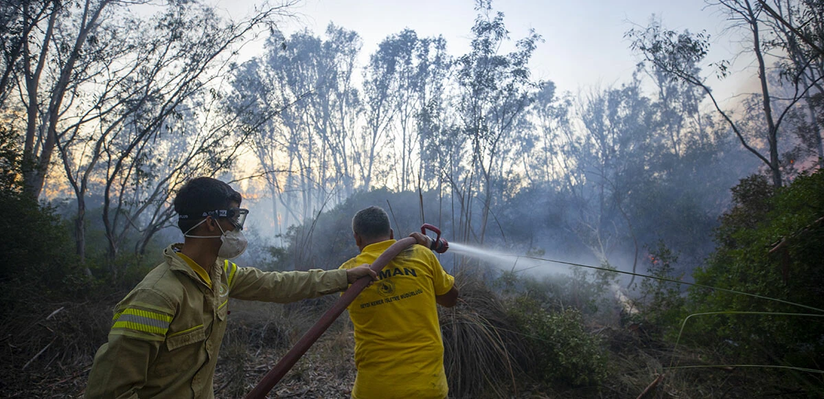 Kaş'taki yangın yeniden başladı: Alevler seralara sıçradı