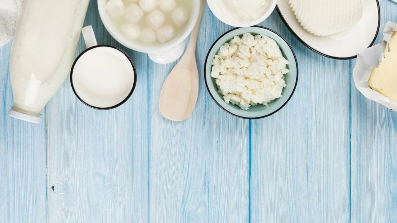 Probiyotik Nedir, Faydaları Nelerdir ve Probiyotik Takviyeler Ne İşe Yarar Hangi Besinlerde Bulunur?