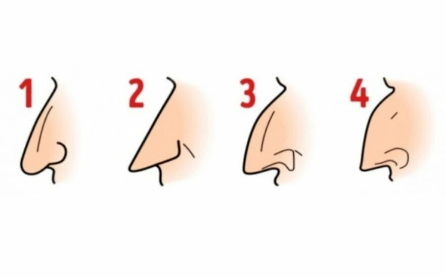 İnsanları burnundan tanıyan araştırma: Burun şekli kişilik hakkında çok şey anlatıyor!