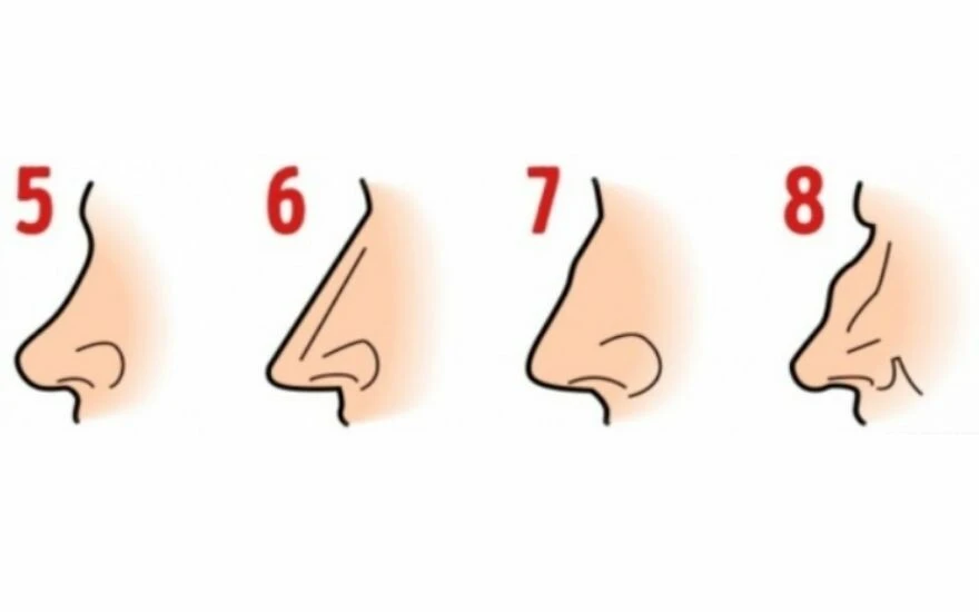 İnsanları burnundan tanıyan araştırma: Burun şekli kişilik hakkında çok şey anlatıyor!