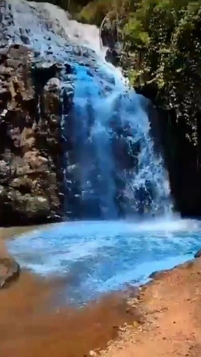 Bebeklerinin cinsiyetini öğrenmek için yaptıkları herkesi ayağa kaldırdı! Bakanlık bile devreye girdi