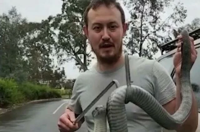 Sahil kıyılarında gezerken dikkat! Kara yılanlarından kat kat zehirli zeytin başlı deniz yılanı böyle yakalandı