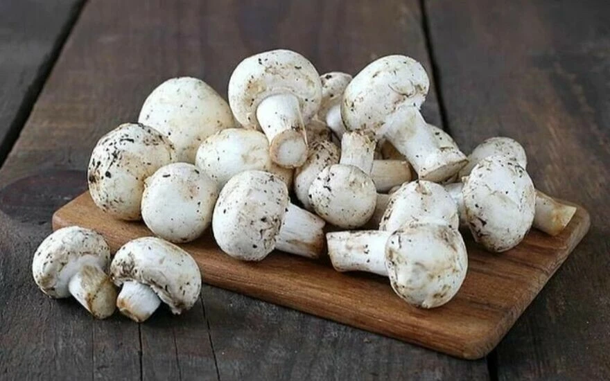 Gribe karşı silahlandıran yiyecekler: Haftada bir kez yiyen kış boyu hastalanmıyor!