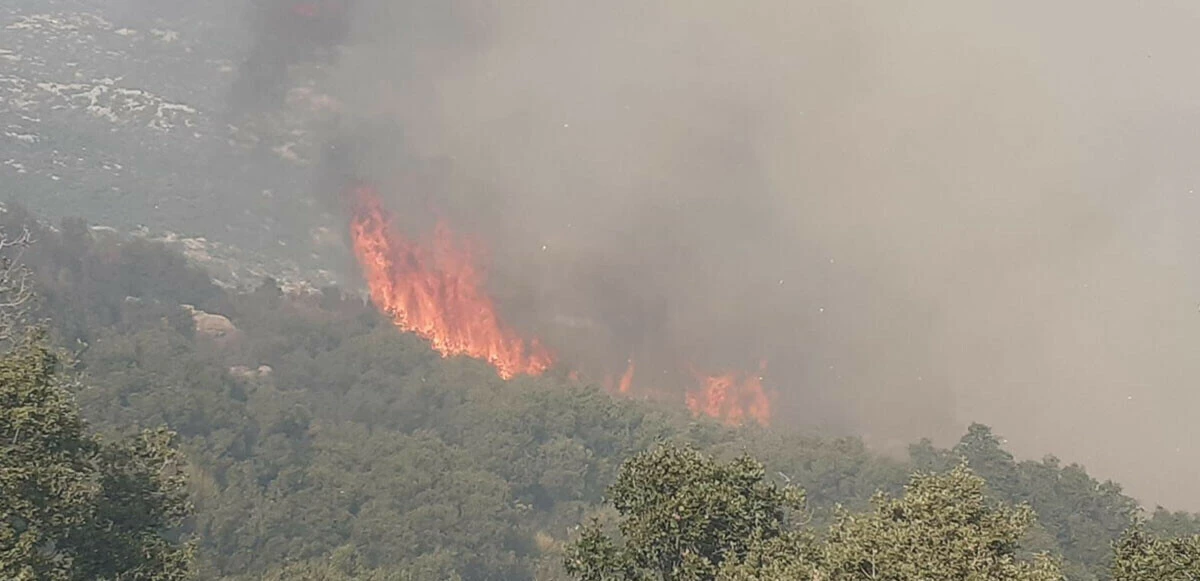 Kaş'ta makilik alanda çıkan yangın kontrol altına alındı