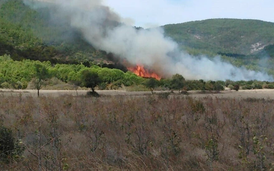 Çanakkale Gelibolu’da orman yangını çıktı! Havadan ve karadan müdahale başladı