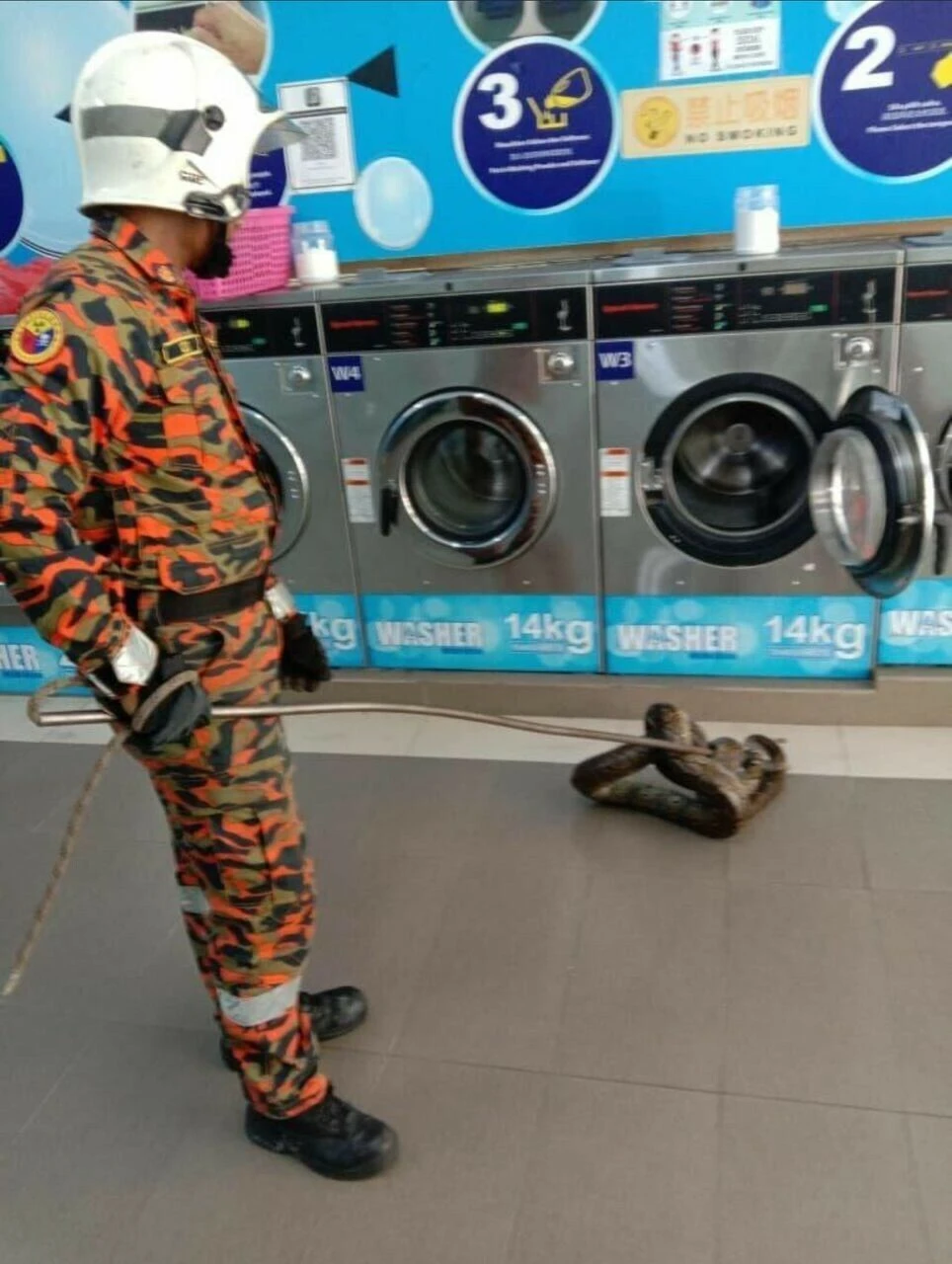 Çamaşır yıkamak için açtığı makinenin kapağını anında kapattı! Çamaşır makinesindeki piton dehşete düşürdü