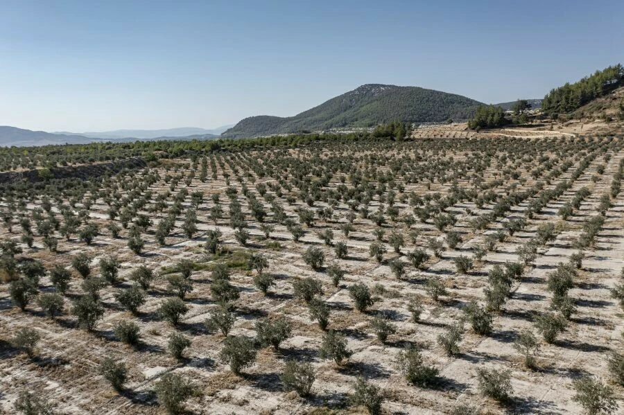 YK Enerji Genel Müdürü M. Serhat Dinç: Avrupa kömüre dönerken, Türkiye’de santrallerin kömüre ulaşımı engelleniyor