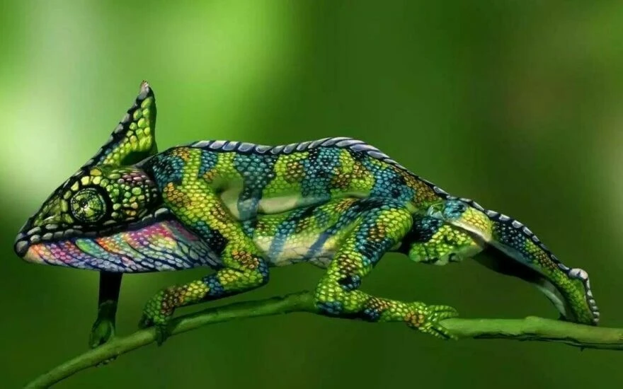 Beyin eriten optik illüzyon: Sadece 10 kişiden 2’si bukalemunda gizlenen kadınları 8 saniyede bulabiliyor!