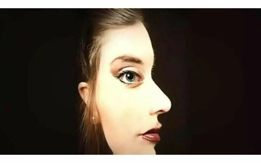 Pratik zekalılar resimde kaç tane yüz olduğunu hemen buluyor: Cevabı duyunca çok şaşıracaksınız!