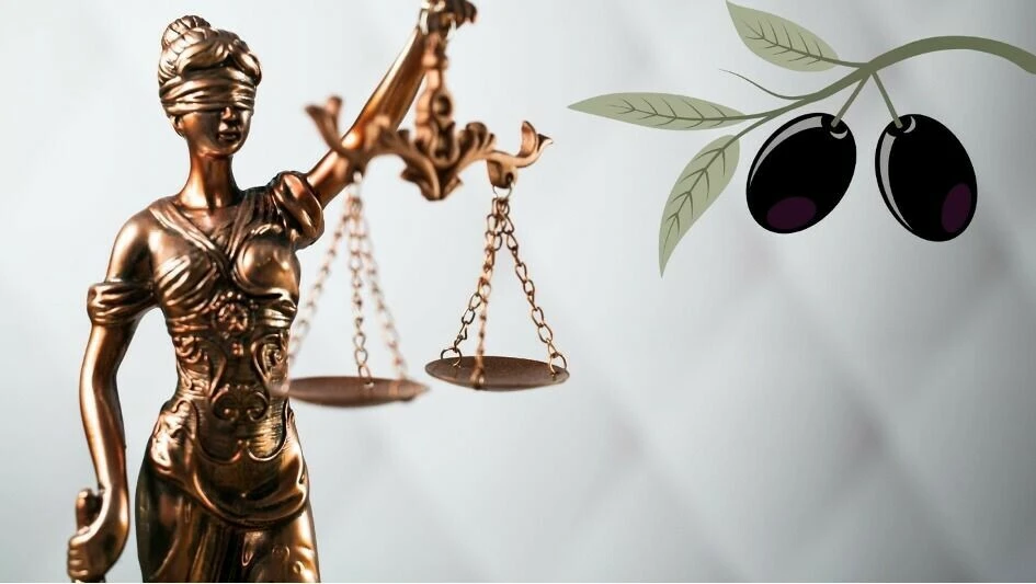 Zeytin Yasasında düzenleme ne getiriyor?