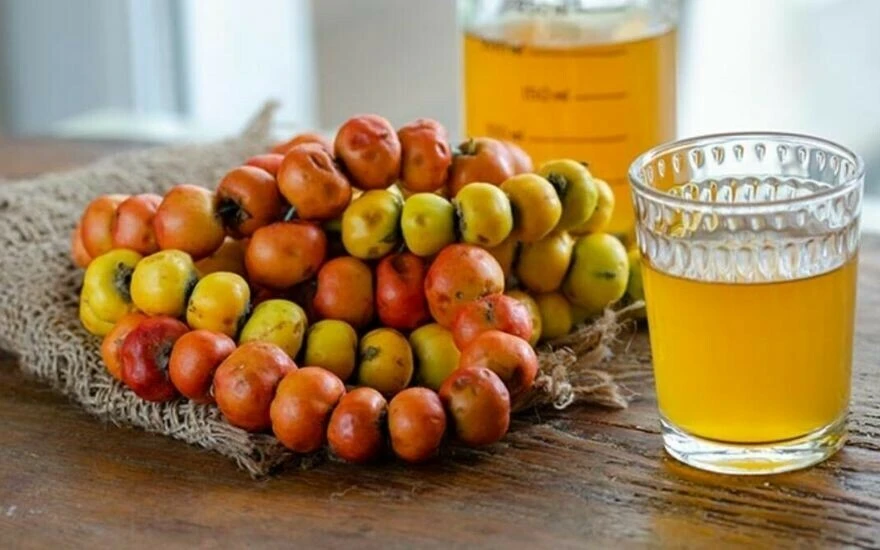 Aç karnına tüketilen meyvenin sirkesi kalp krizine doğal çare, kansere şifa oluyor!