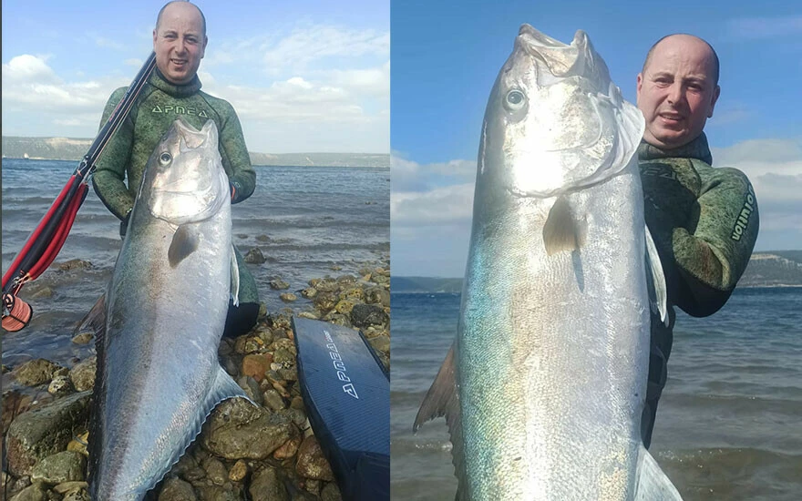 Çanakkale’de amatör balıkçının bereketli avı! Görenler şaşkına döndü: İnsan boyunda ve ağırlığında dev akya balığı yakaladı