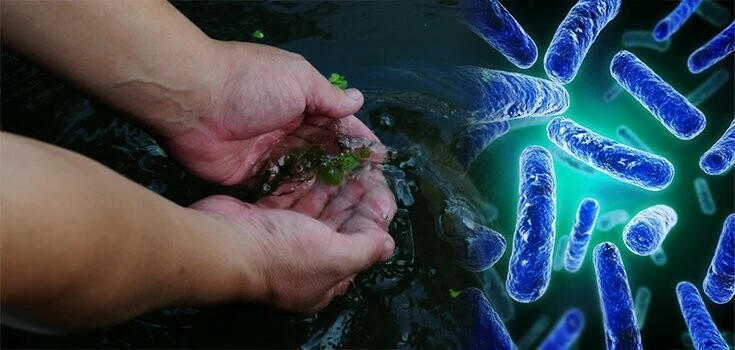 Et yiyen bakteri alarmı! Vakalar arttı insanlar uzuvlarını kaybedebiliyor